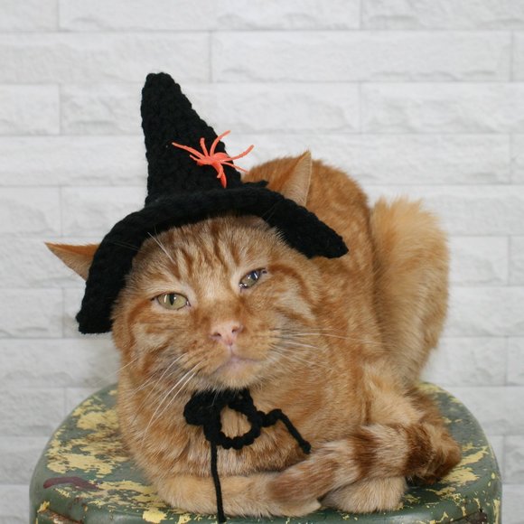 HAND CRAFTED Crochet Halloween Witch Hat Spider Cat Costume Photo Prop - Picture 1 of 14